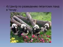 4) Центр по разведению гигантских панд в Ченду&nbsp;. &nbsp; 4) Центр по разв...