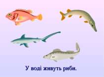 У воді живуть риби.