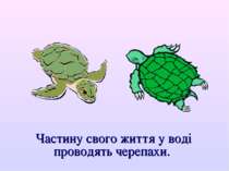 Частину свого життя у воді проводять черепахи.