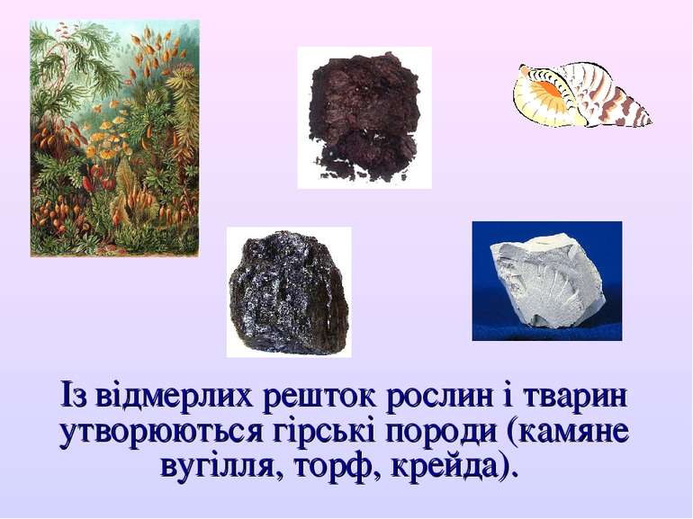Із відмерлих решток рослин і тварин утворюються гірські породи (камяне вугілл...