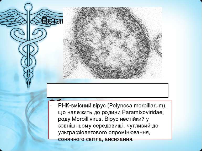 Збудник кору РНК-вмісний вірус (Polynosa morbillarum), що належить до родини ...