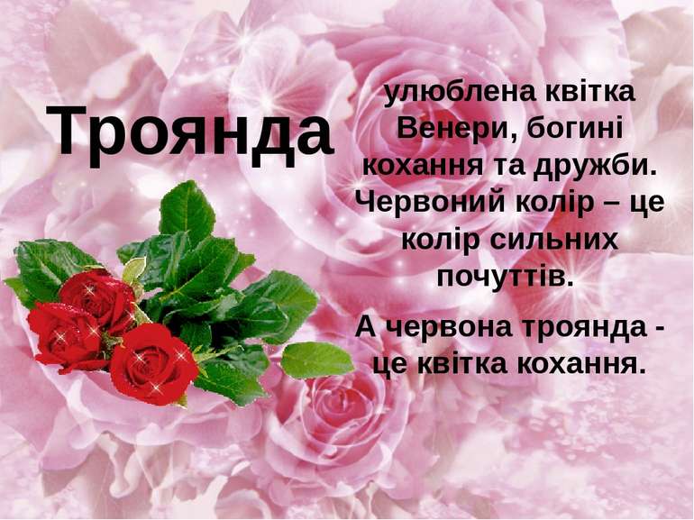 улюблена квітка Венери, богині кохання та дружби. Червоний колір – це колір с...