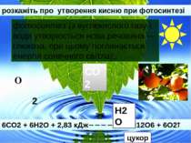 розкажіть про утворення кисню при фотосинтезі 6СО2 + 6Н2О + 2,83 кДж С6Н12О6 ...