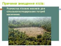 Причини знищення лісів: Розчистка лісових масивів для сільськогосподарських п...