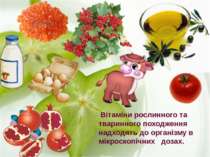 Вітаміни рослинного та тваринного походження надходять до організму в мікроск...