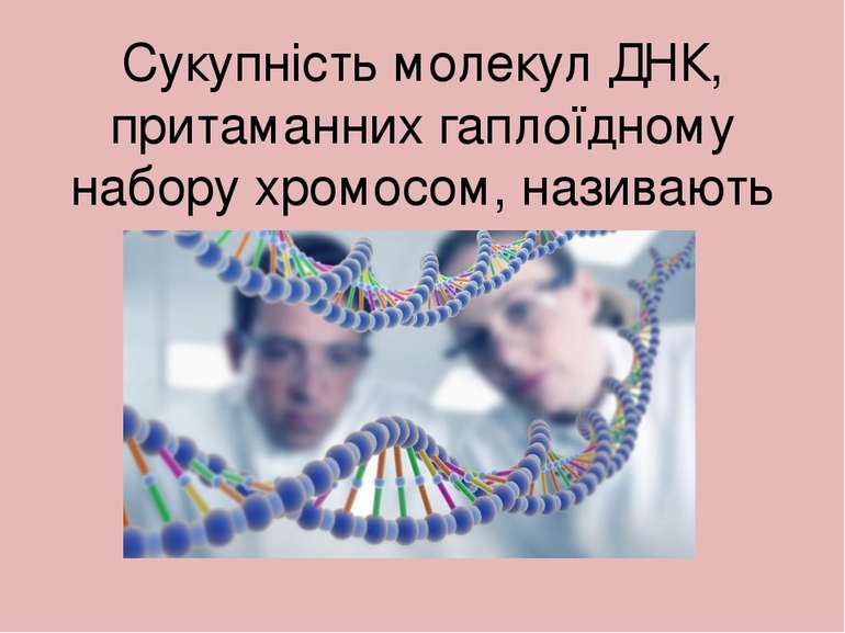 Сукупність молекул ДНК, притаманних гаплоїдному набору хромосом, називають ге...