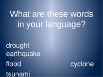 What are these words in your language? drought earthquake flood cyclone tsuna...