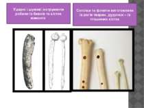Ударні і шумові інструменти робили із бивнів та кісток мамонта Сопілки та фле...