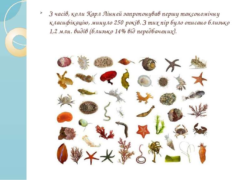 З часів, коли Карл Лінней запропонував першу таксономічну класифікацію, минул...