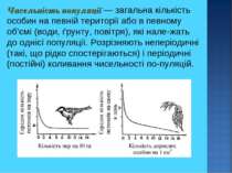 Чисельність популяції — загальна кількість особин на певній території або в п...