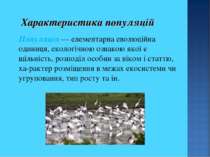 Характеристика популяцій Популяція — елементарна еволюційна одиниця, екологіч...