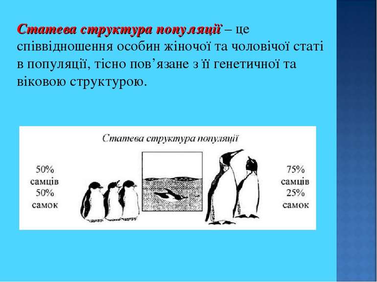 Статева структура популяції – це співвідношення особин жіночої та чоловічої с...