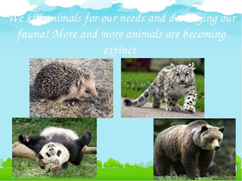 We kill animals for our needs and destroying our fauna! More and more animals...