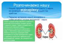 Кінцеві продукти обміну потрапляють у нирки, які розміщені в поперековому від...