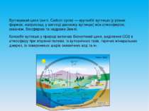 Вуглеце вий цикл (англ. Carbon cycle) — кругообіг вуглецю (у різних формах, н...