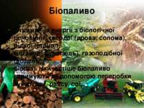 Біопаливо Отримання енергії з біологічної речовини: твердої (дрова, солома), ...