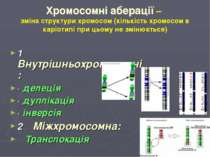 Хромосомні аберації – зміна структури хромосом (кількість хромосом в каріотип...