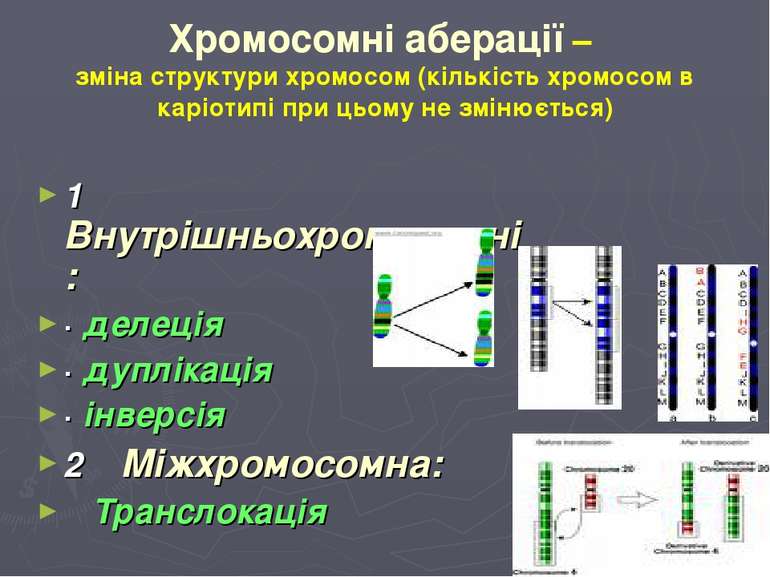 Хромосомні аберації – зміна структури хромосом (кількість хромосом в каріотип...