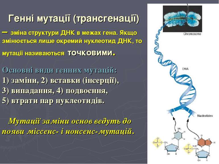 Генні мутації (трансгенації) – зміна структури ДНК в межах гена. Якщо змінюєт...