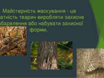 Майстерність маскування - це здатність тварин виробляти захисне забарвлення а...