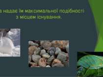 яка надає їм максимальної подібності з місцем існування.