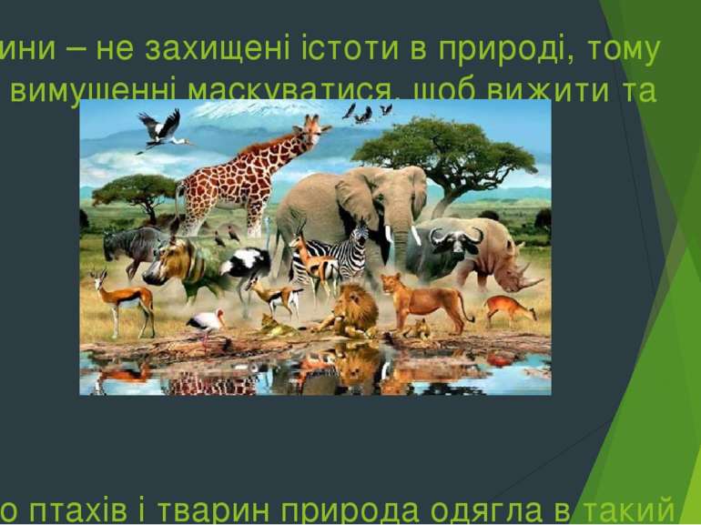 Тварини – не захищені істоти в природі, тому вони вимушенні маскуватися, щоб ...