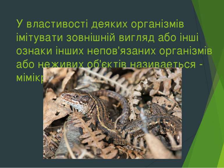 У властивості деяких організмів імітувати зовнішній вигляд або інші ознаки ін...