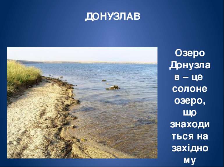 САСИК Найбільше озеро України за площею-майже 205 кв.км