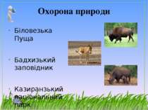 Охорона природи Біловезька Пуща Бадхизький заповідник Казиранзький національн...