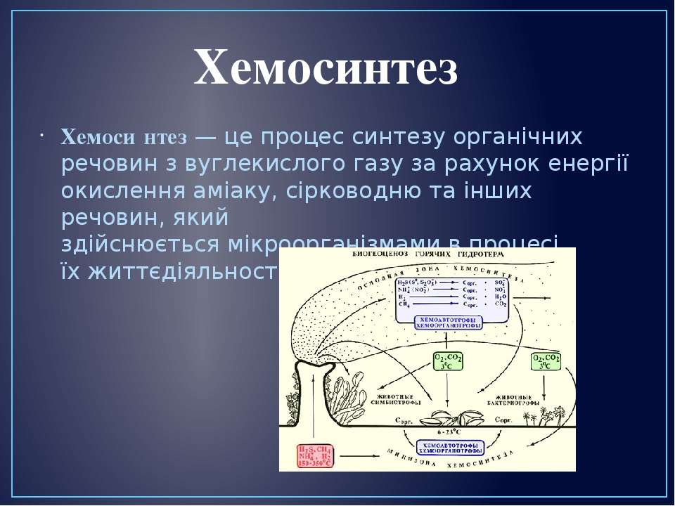 Организмы хемосинтетики. Хемосинтез схема. Процесс хемосинтеза. Хемосинтез схема процесса. Хемосинтез это в биологии.
