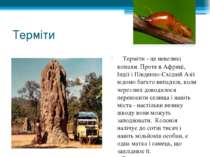 Терміти    Терміти - це невеликі комахи. Проте в Африці, Індії і Південно-Схі...