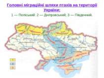Головні міграційні шляхи птахів на території України: 1 — Поліський: 2 — Дніп...