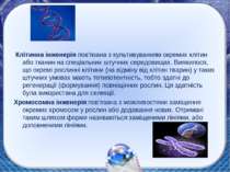 Клітинна інженерія пов'язана з культивуванням окремих клітин або тканин на сп...