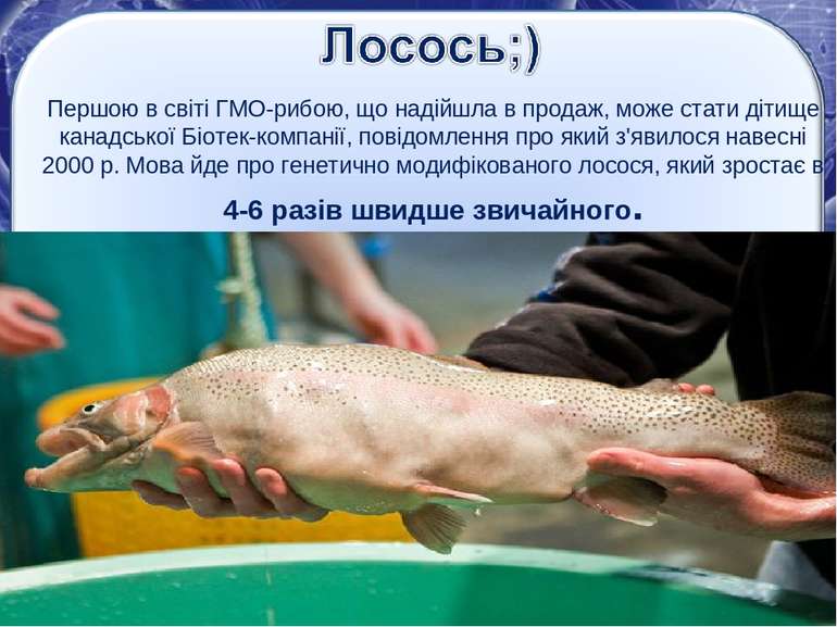 Першою в світі ГМО-рибою, що надійшла в продаж, може стати дітище канадської ...