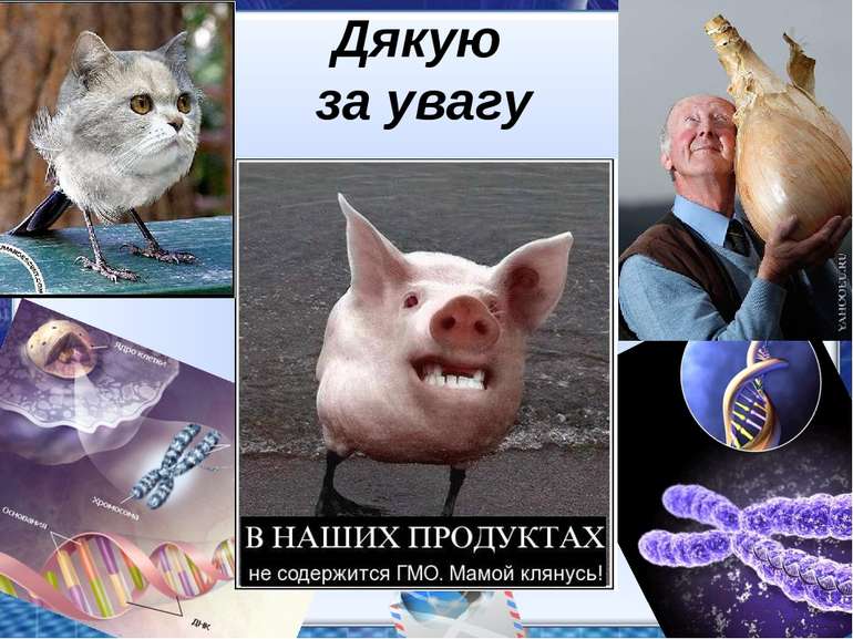 Дякую за увагу