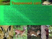 Тваринний світ парку представлений типовими поліськими видами: тут зустрічают...