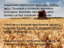 Із зернових вирощують пшеницю, ячмінь, жито. Пшениця є головною зерновою куль...