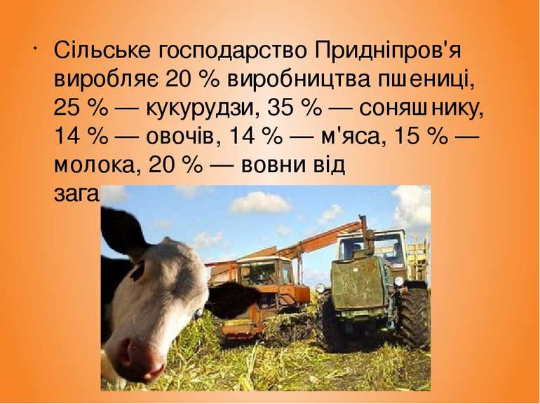 Сільське господарство Придніпров'я виробляє 20 % виробництва пшениці, 25 % — ...