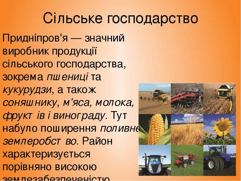 Сільське господарство Придніпров'я — значний виробник продукції сільського го...