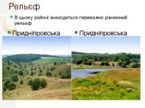 Рельєф В цьому районі знаходиться переважно рівнинний рельєф Придніпровська в...
