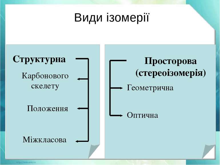 Види ізомерії Структурна Карбонового скелету Положення Міжкласова Просторова ...