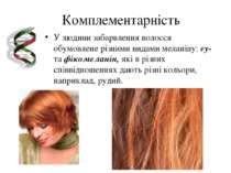 Комплементарність У людини забарвлення волосся обумовлене різними видами мела...