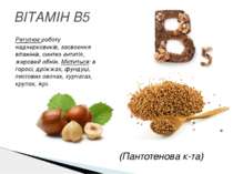ВІТАМІН B5 Регулює роботу наднирковиків, засвоєння вітамінів, синтез антитіл,...
