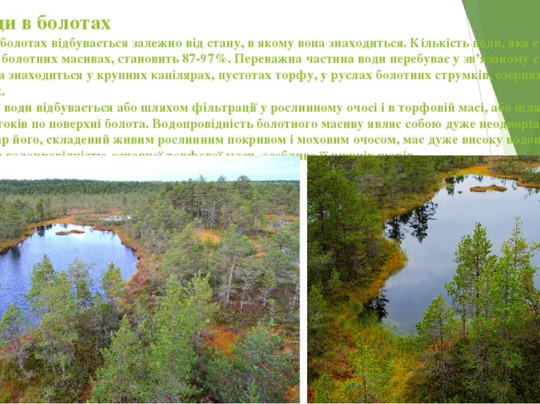 Рух води в болотах Рух води в болотах відбувається залежно від стану, в якому...