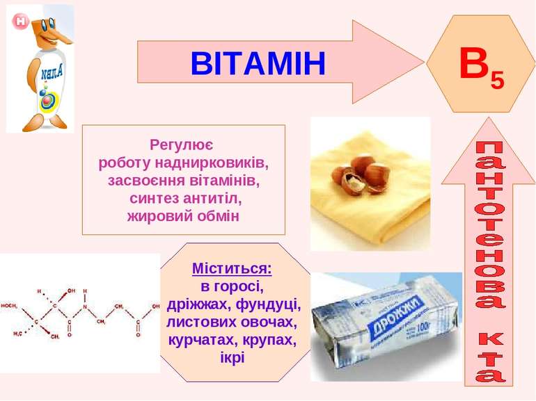 ВІТАМІН B5 Регулює роботу наднирковиків, засвоєння вітамінів, синтез антитіл,...