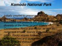 Komodo National Park Initially created to preserve the local dragon Comodo, t...
