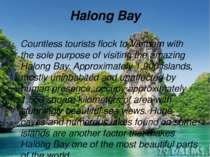 Halong Bay Countless tourists flock to Vietnam with the sole purpose of visit...