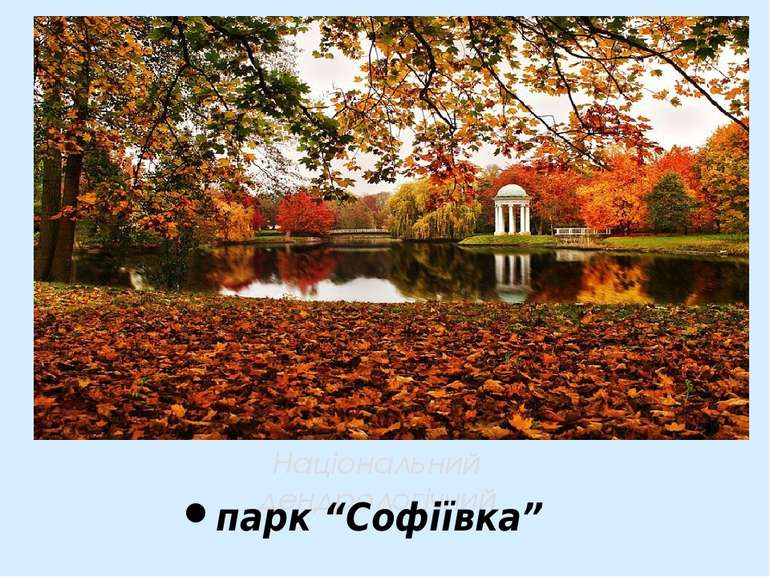 Національний дендрологічний парк “Софіївка”