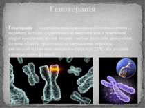 Генотерапія — сукупність генноінженерних (біотехнологічних) і медичних методі...