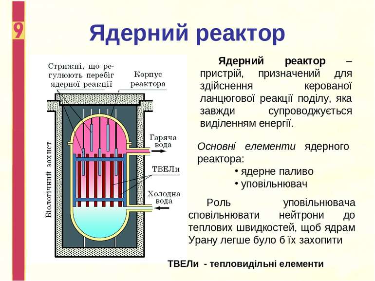 Ядерний реактор ТВЕЛи - тепловидільні елементи Основні елементи ядерного реак...